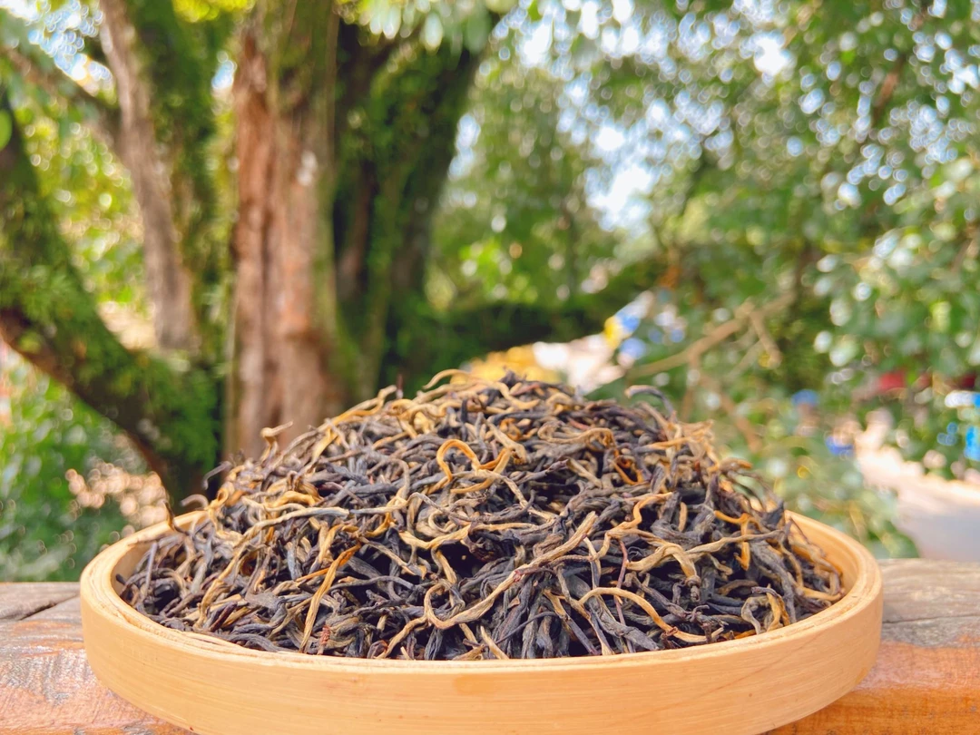 帕雅珍景迈红  200克散茶 薯香蜜香十足 来自世界非遗的礼物