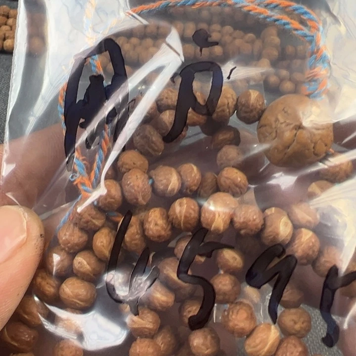 用***5凤眼菩提吊坠文玩酸枣核