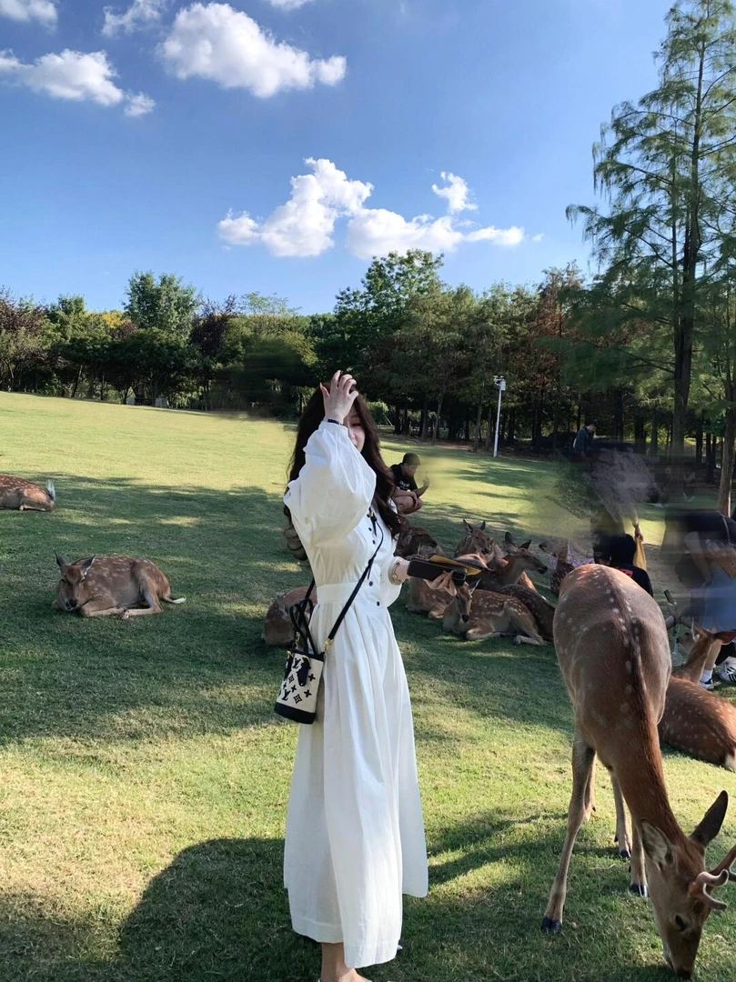 2025早春季新款法式气质圆领收腰显瘦不规则单排扣纯色连衣裙女潮