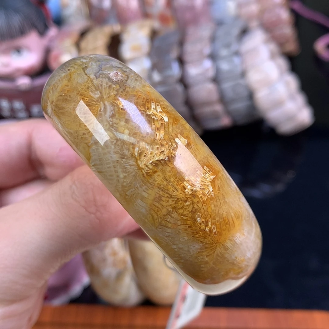 【闪购商品】颈饰未镶嵌硅化珊瑚（珊瑚玉）12号金丝凤尾53.2圈