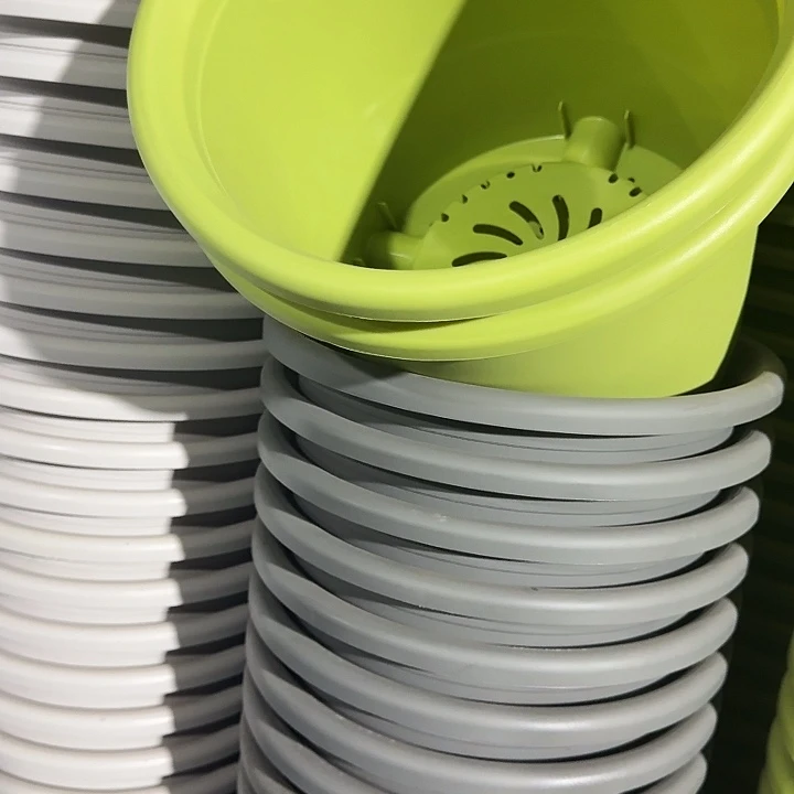 四季6号果绿无托7个特价微瑕