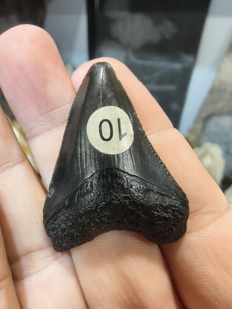 精品小吊坠家居摆件