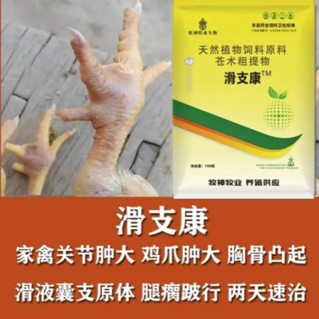 兽用滑支康鸡用关节肿鸡滑支净滑膜炎腿瘸鸡爪肿滑液囊饲料添加剂