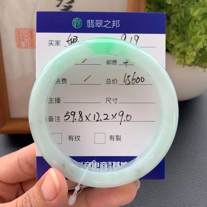 嘉***妮未镶嵌手镯翡翠翡翠手镯59+
