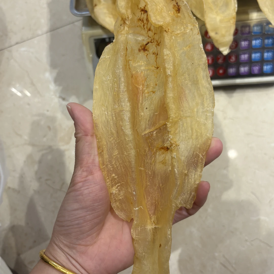 5头生晒北海母胶花胶食用出胶率好适合孕妇月子滋补