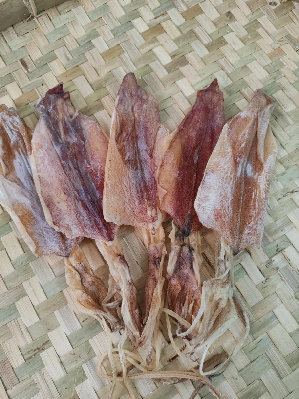 A2烧烤干货鱿鱼海南鱿鱼顺丰包邮