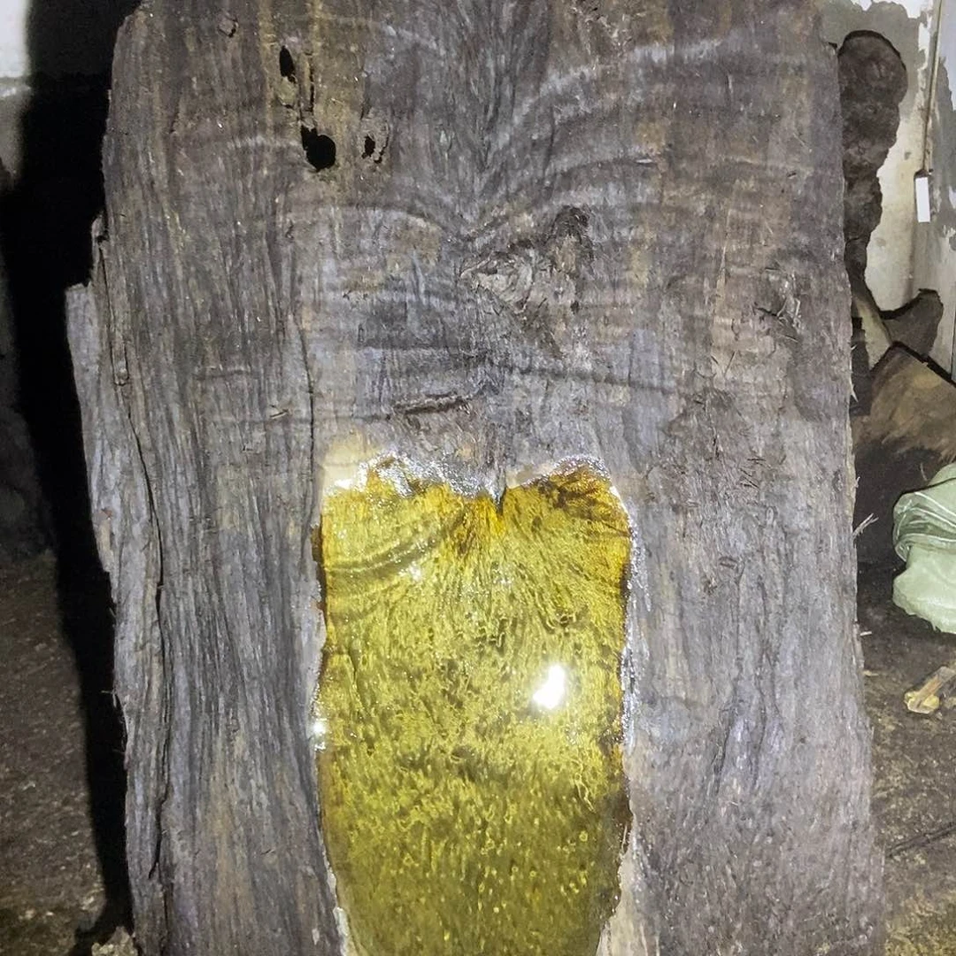 佳*金丝楠阴沉木毛料