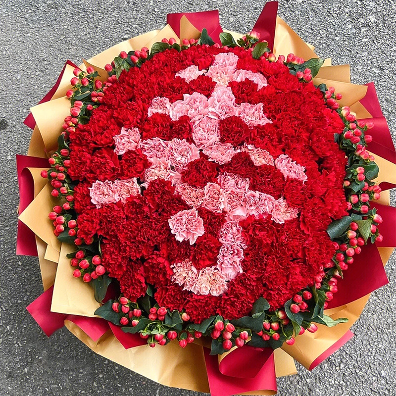 送长辈康乃馨花束鲜花订购同城配送直送花店附近团购送爸妈生日花