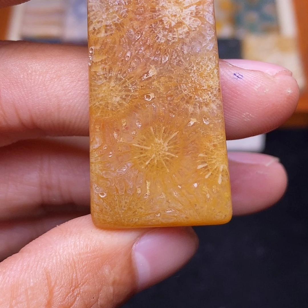 觉***C合金珊瑚玉硅化玉