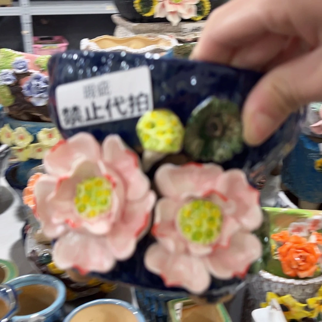 【闪购商品】红陶瑕疵24111