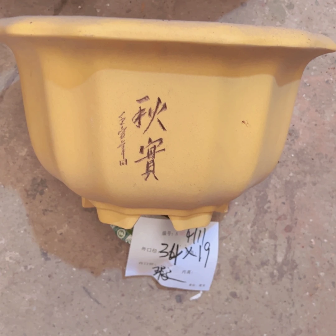 花盆紫砂紫紫砂盆