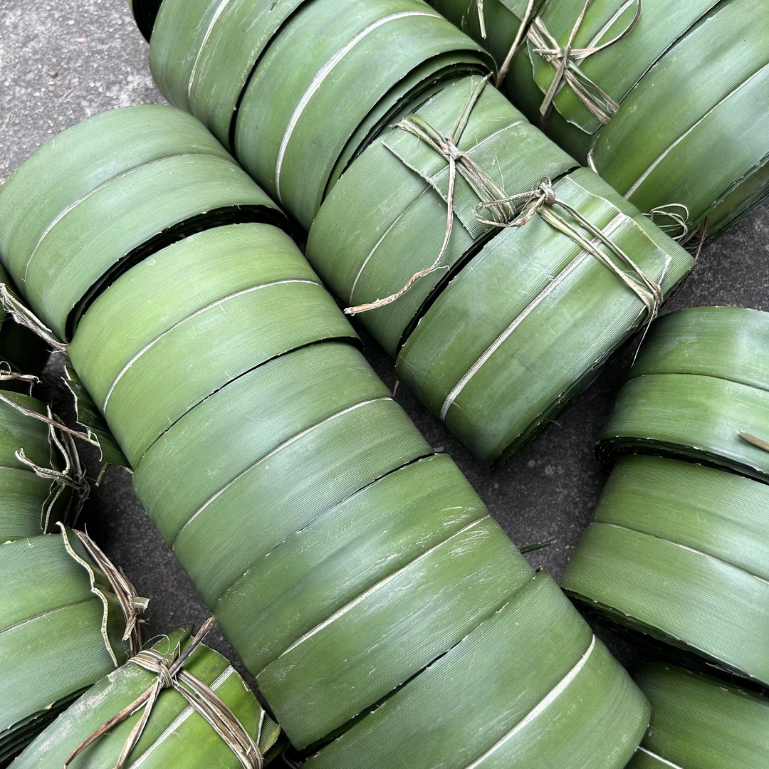新鲜露兜叶 假菠萝叶 勒古叶 包粽子叶 现割去刺阳春特色交古叶
