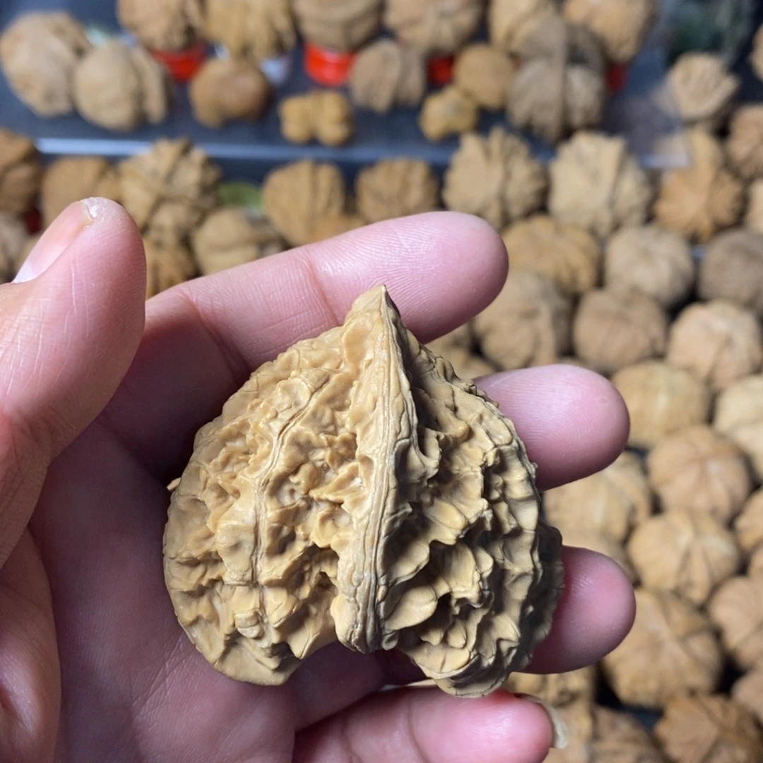 墨***）大叶紫檀（黑酸枝木类）