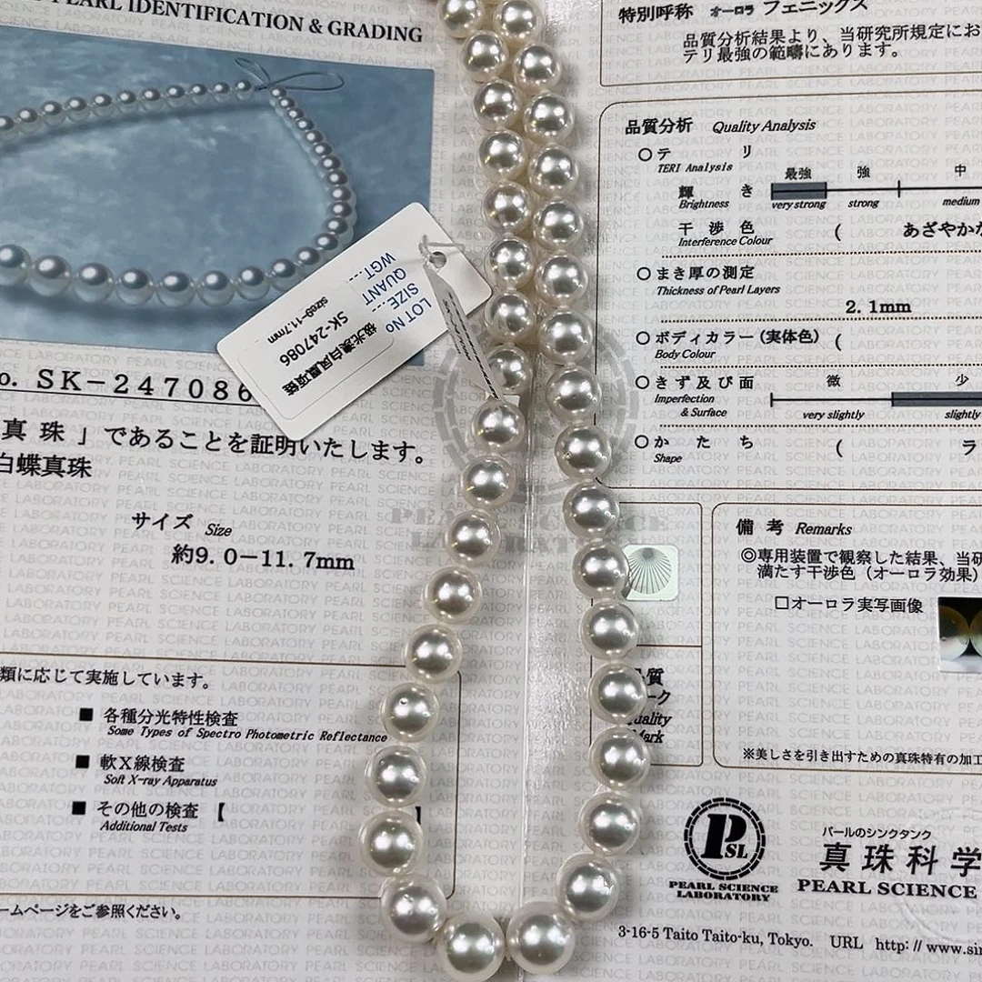 海水珍珠颈饰未镶嵌澳白凤凰sk9-11.7大证