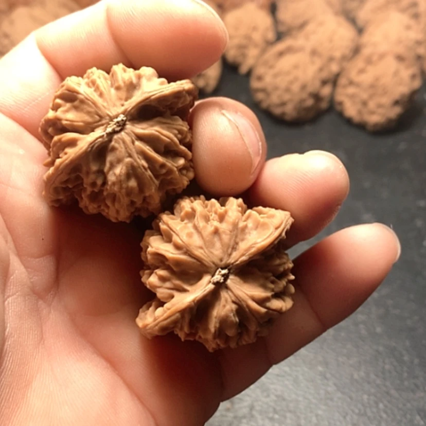 【闪购商品】黑*帅盘龙