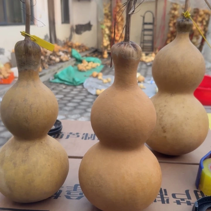 咕噜咕噜咕噜咕噜咕噜咕噜