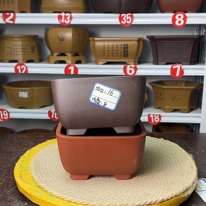 花盆紫砂你在一起