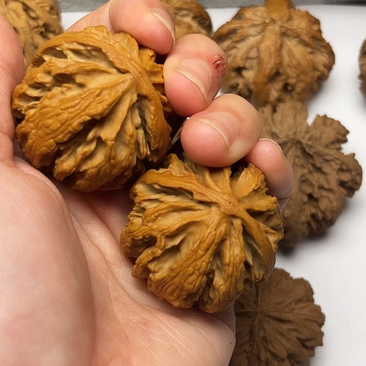 秦岭文玩核桃核桃