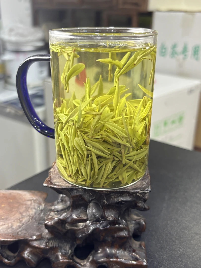 安吉白茶高山白茶