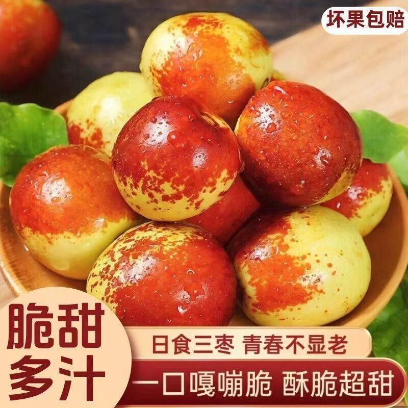 沾化冬枣包邮新鲜脆甜5斤大小通果口感保鲜发 助农链接