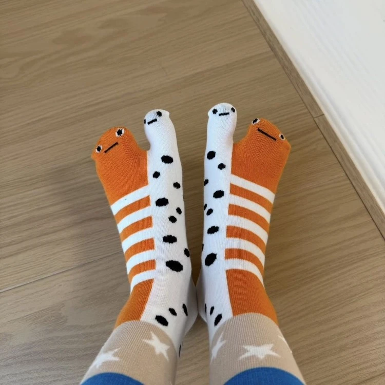 2025年新款花园鳗鱼中筒袜春夏季薄款ins可爱卡通日系条纹搞怪LQ