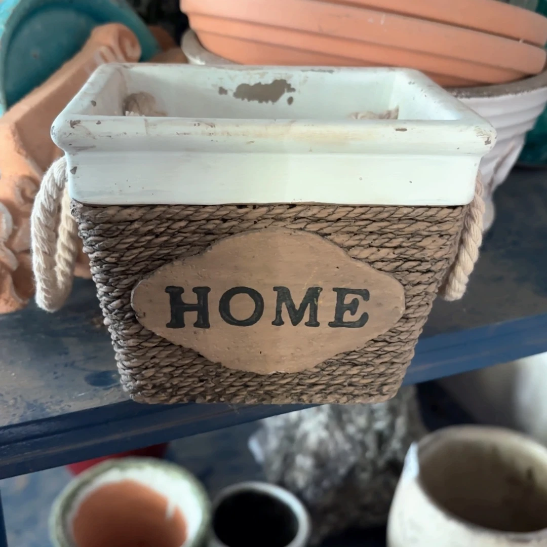 许纯的花房 孤品001水泥