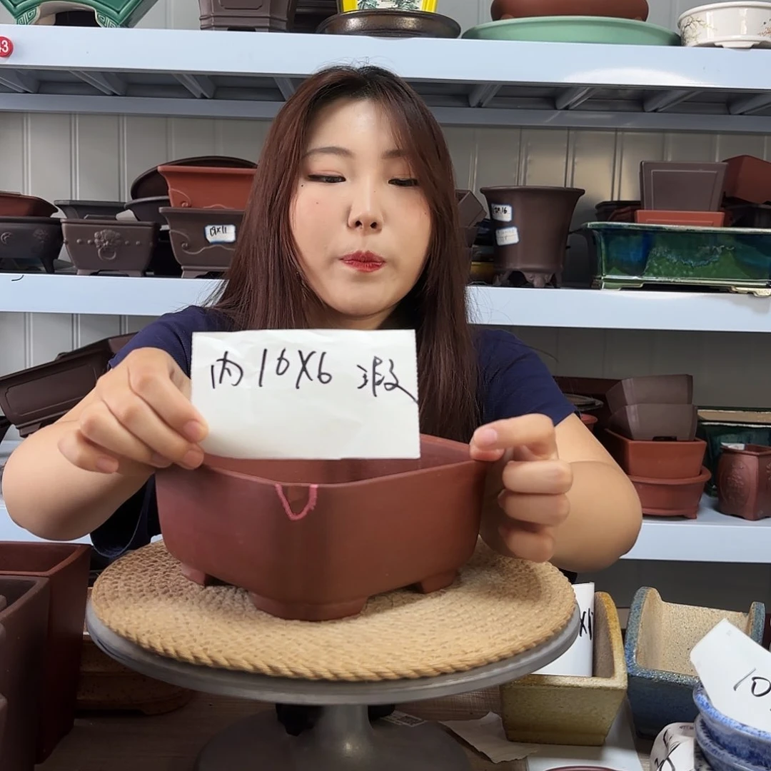 紫砂花盆宜兴紫荆