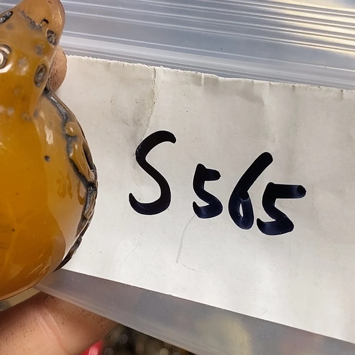 ****华民间喜乐购专项链接