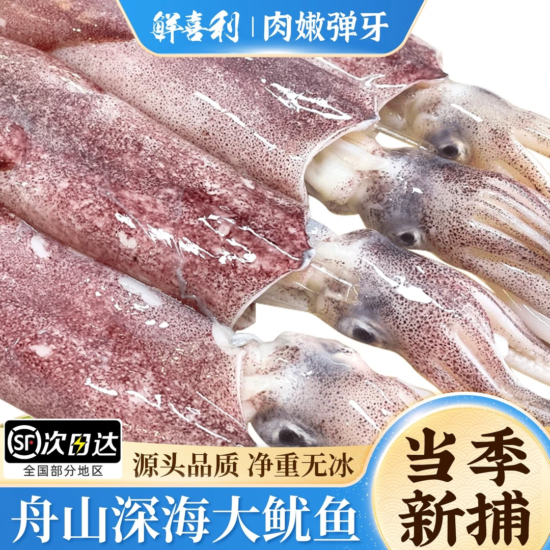 舟山新鲜火箭大鱿鱼整只冰鲜冷冻铁板烧烤鱿鱼串食材乌贼火箭鱿鱼
