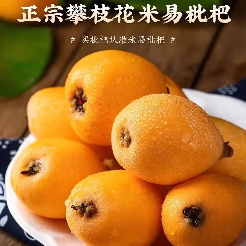 【顺丰速运】正宗四川攀枝花米易枇杷新鲜水果应季现摘现发产地直发