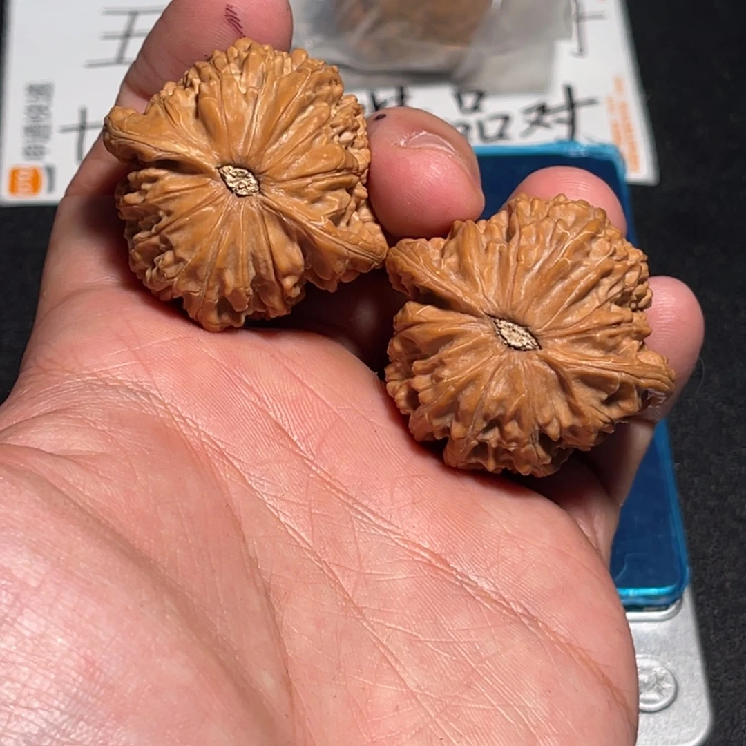 40全品红皮磨皮有点龟背