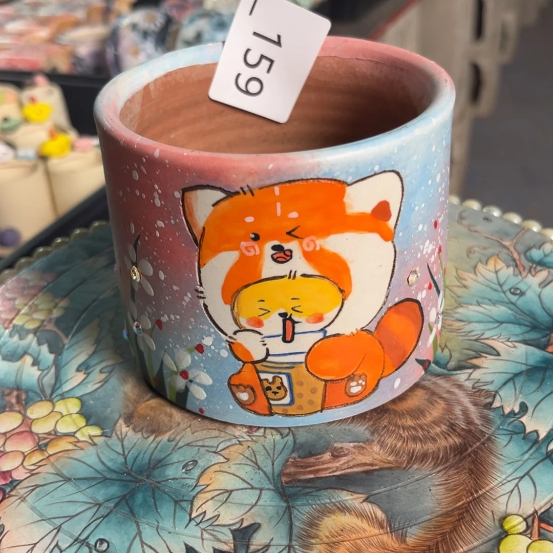 b***e159-1多肉花盆   1个