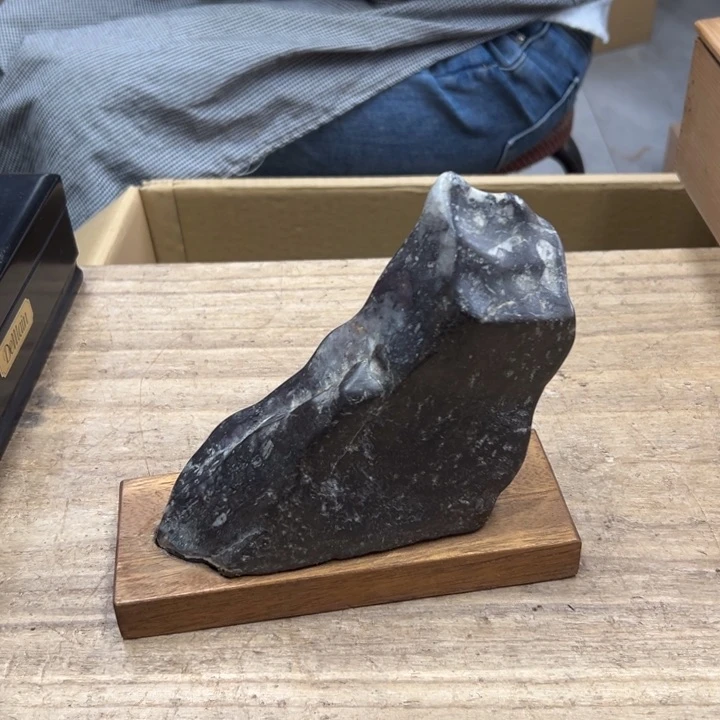 谢谢谢谢谢谢谢谢娃