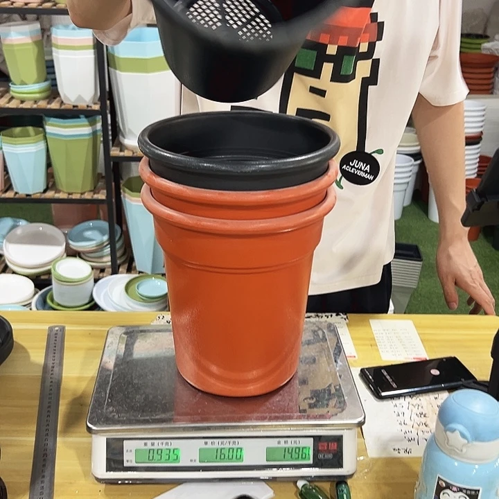 翻边口23高25混色无托4只