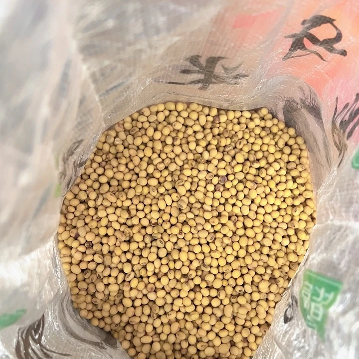 中国大陆黄豆10斤10斤