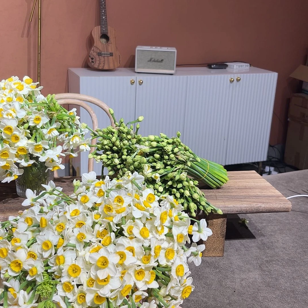 阿里啦咯啦咯啦咯啦啦啦啦啦