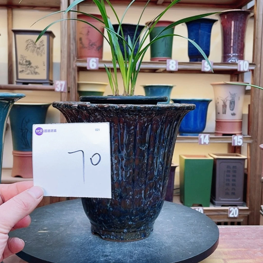 【闪购商品】紫砂花盆淡****8兰花455558555665577558