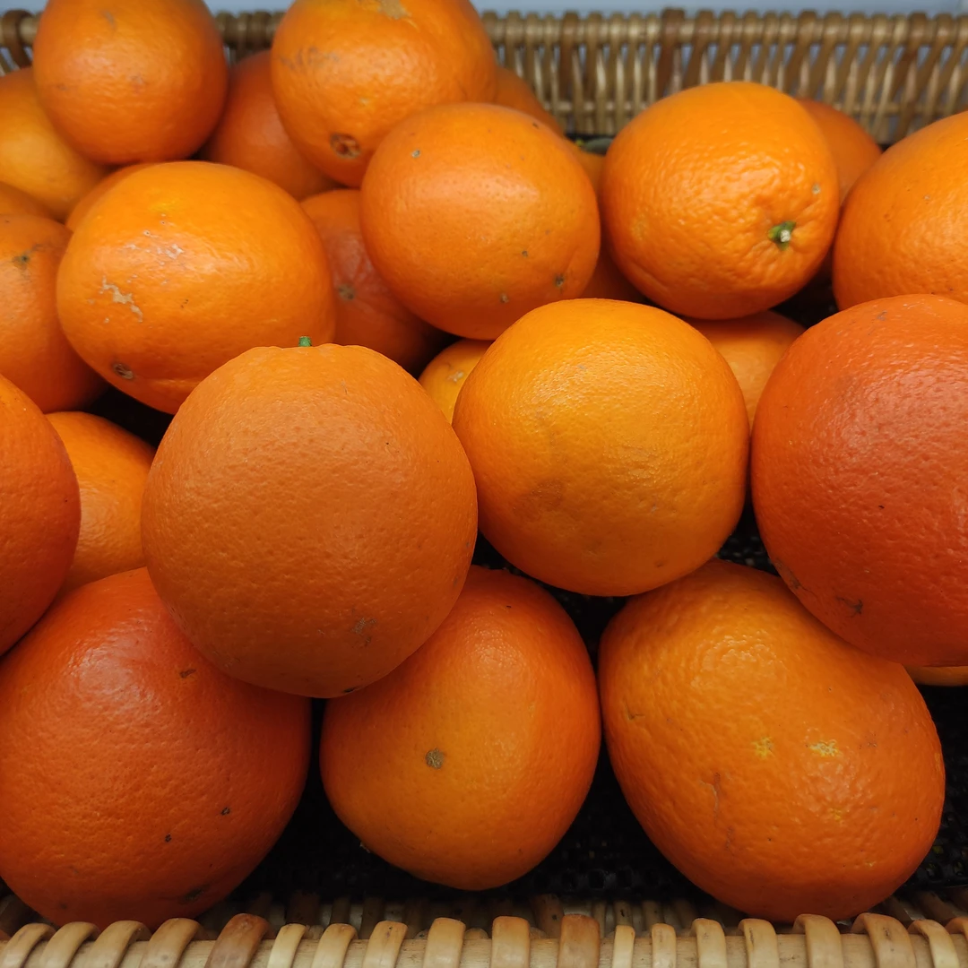 一斤【江西脐橙】同城小时达