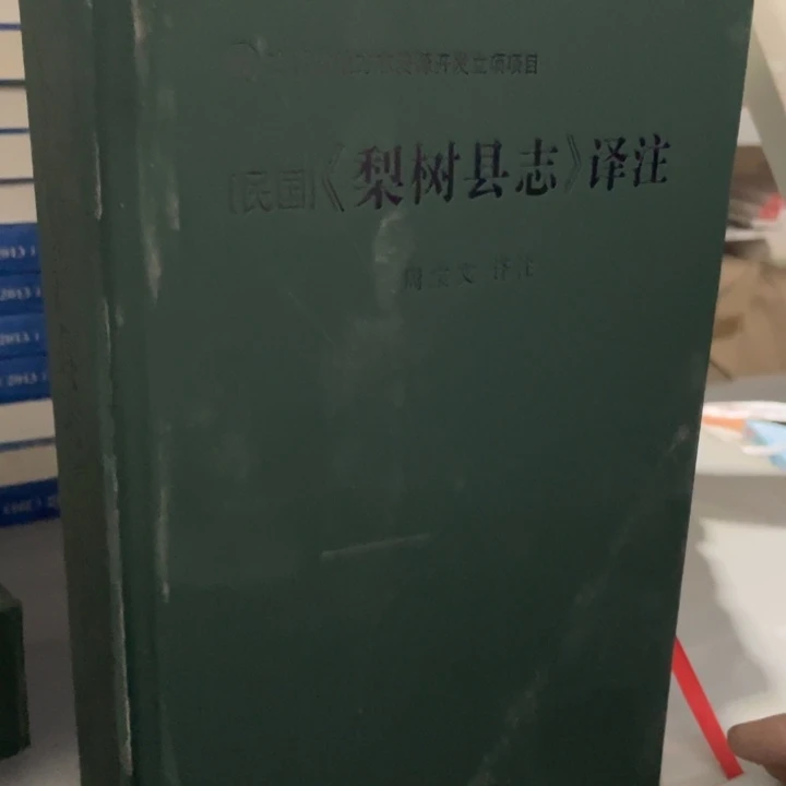 民国梨树县志精装书籍