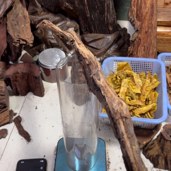 花梨木类海南大叶