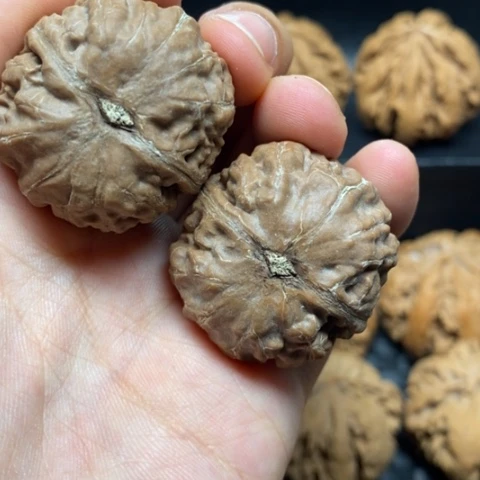 吊坠文玩核桃弗*克文玩4