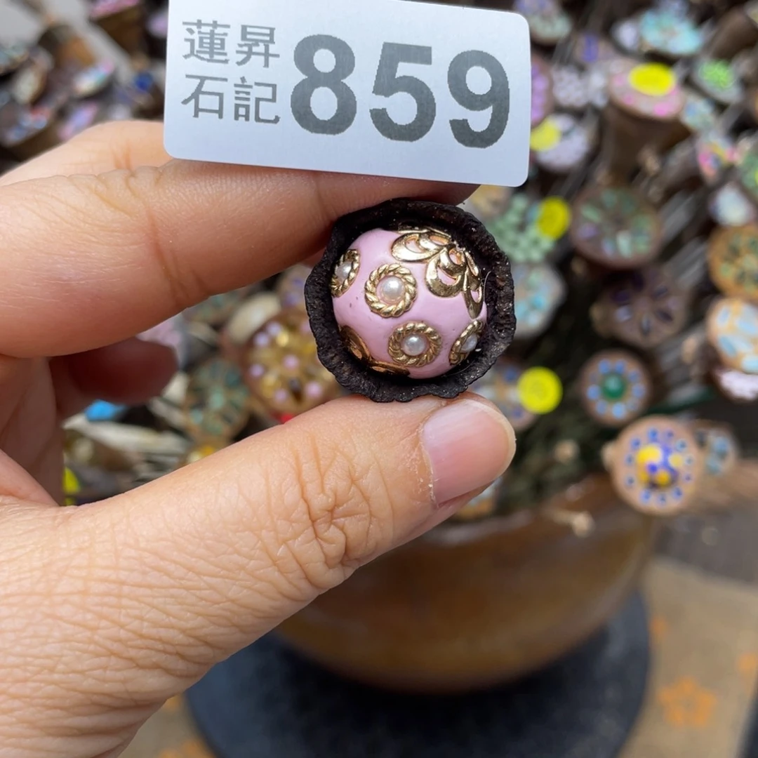 核桃木/黑胡桃（胡桃木）株****对859