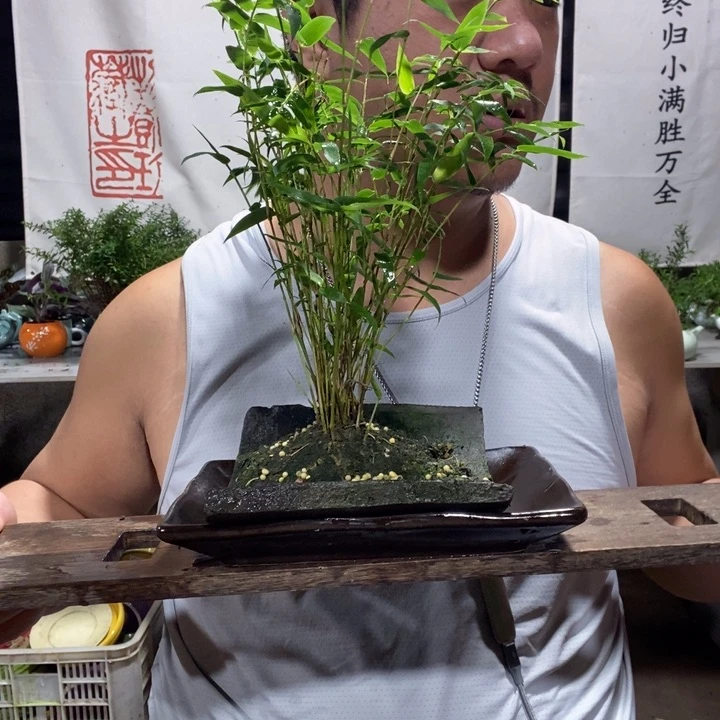 乱**涯一物一拍所见即所得203