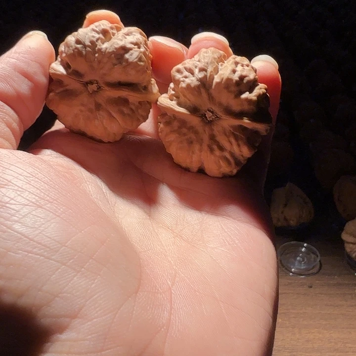 果***少核桃蛤蟆的眼睛是真的好看啊