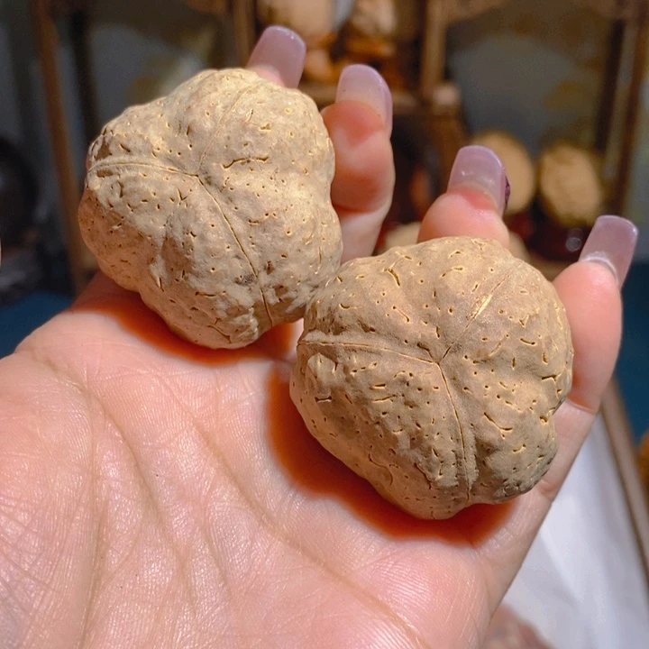 黄金南瓜金刚手球39