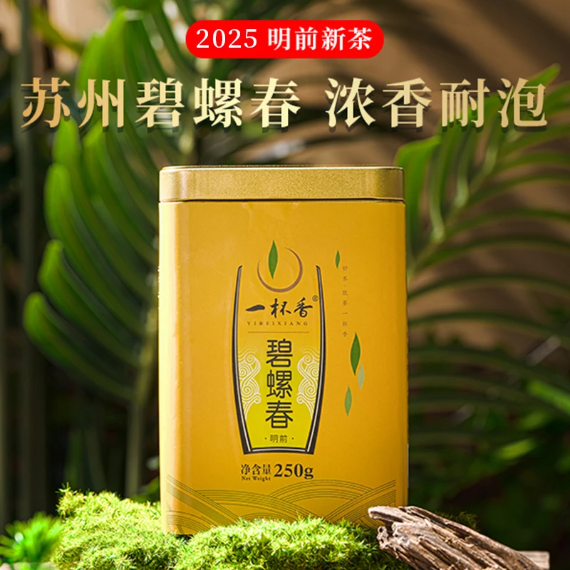 【2025春茶季】早春鲜嫩明前碧螺春苏州特产绿茶茶叶浓香耐泡春茶