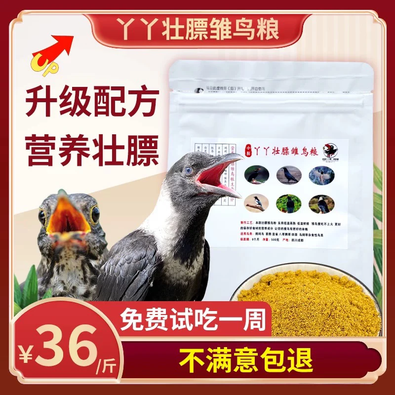 成都丫丫鸟粮 雏鸟粮升级营养壮膘粮乌鸦饲料八哥喜鹊粮手工制作