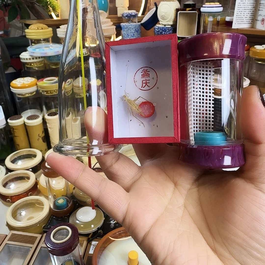 紫色掌中宝➕柬竹啊啊啊啊啊