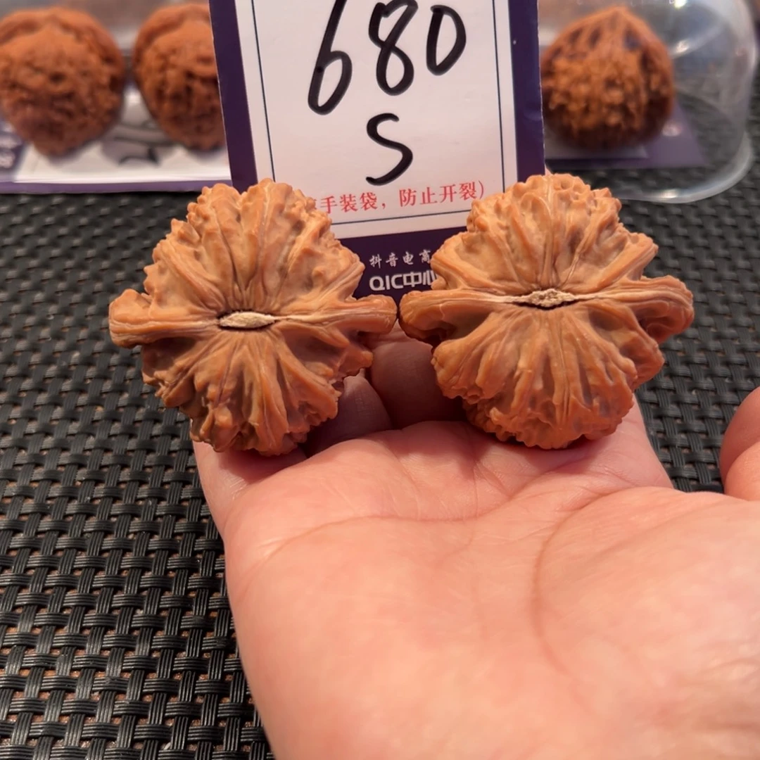 文玩核桃把件680号白狮子尺寸46全品