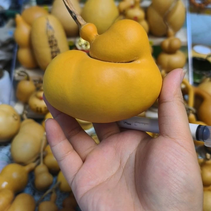 白***心行程规划好你你你